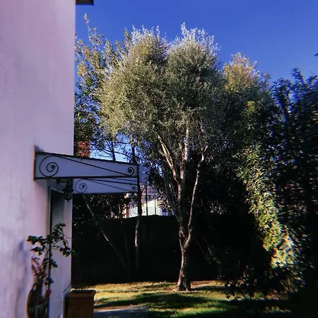 La Casa Dei Fiori Apartment La Spezia